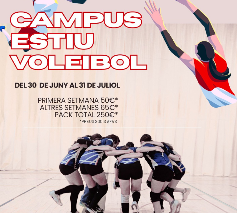 Cartell del Campus d'estiu de Voleibol